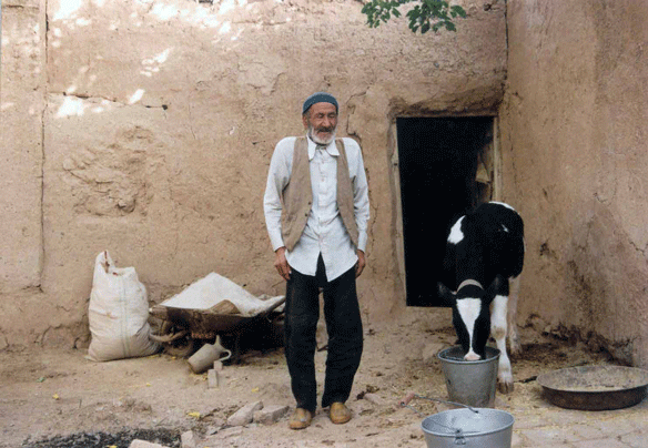 علی اکبر اصغری