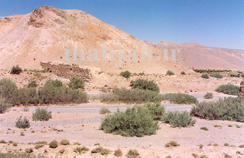 بند خشک