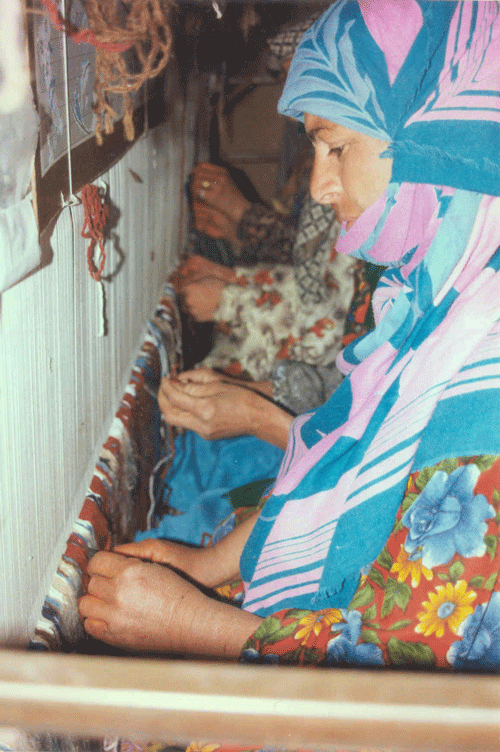 زینب شادی