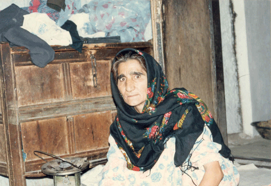 شمسی حسین پناهی