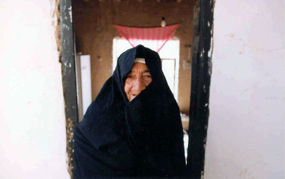 زینب سلطان حاتمیان مقدم